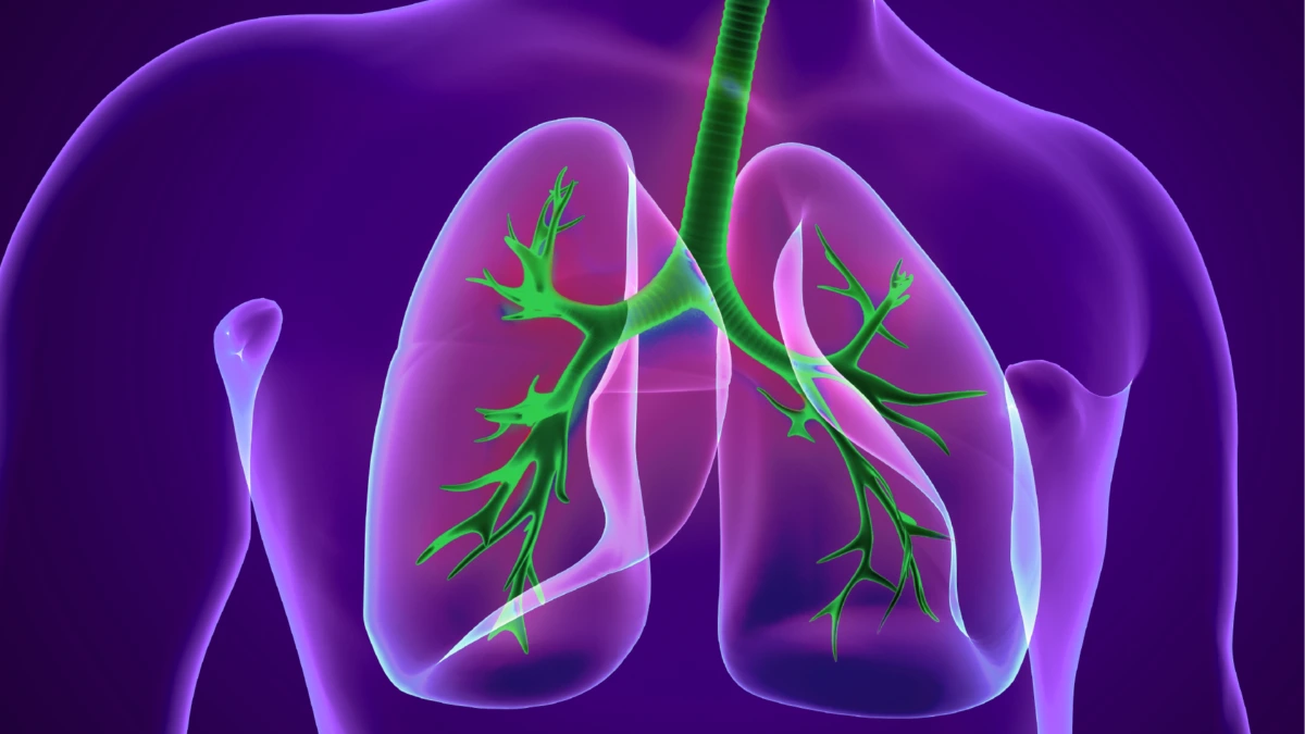 慢性肺病患者日常监测与自我管理