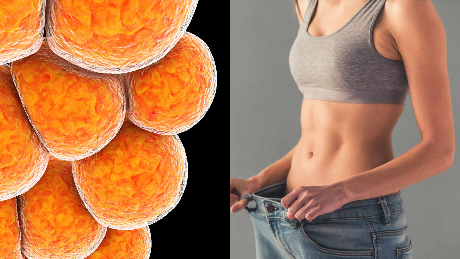 褐色脂肪vs白色脂肪：脂肪也有好坏之分