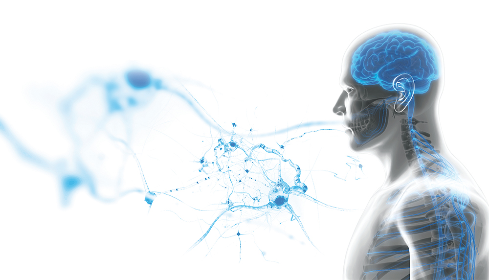 肌萎缩侧索硬化症的疾病概述与定义