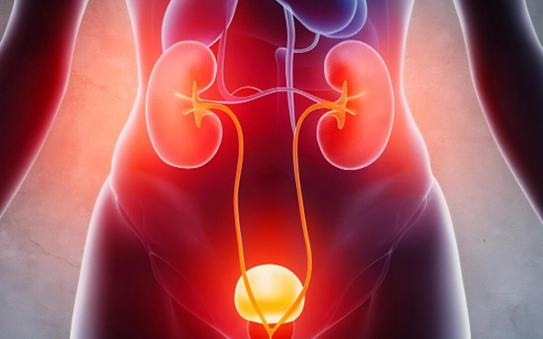 尿路感染的病理生理机制