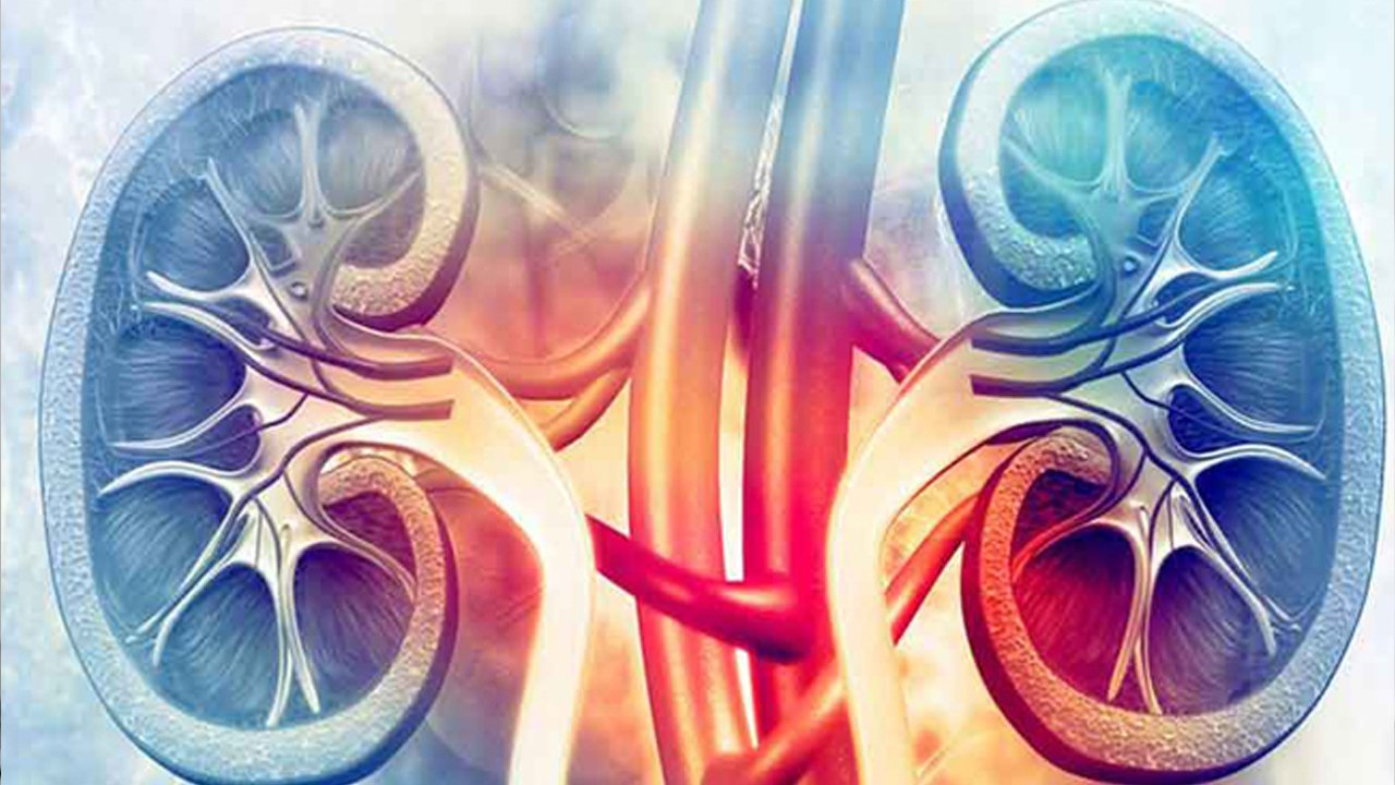 肾病综合征的病理生理机制