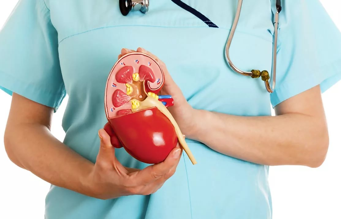 慢性肾盂肾炎的病理生理机制