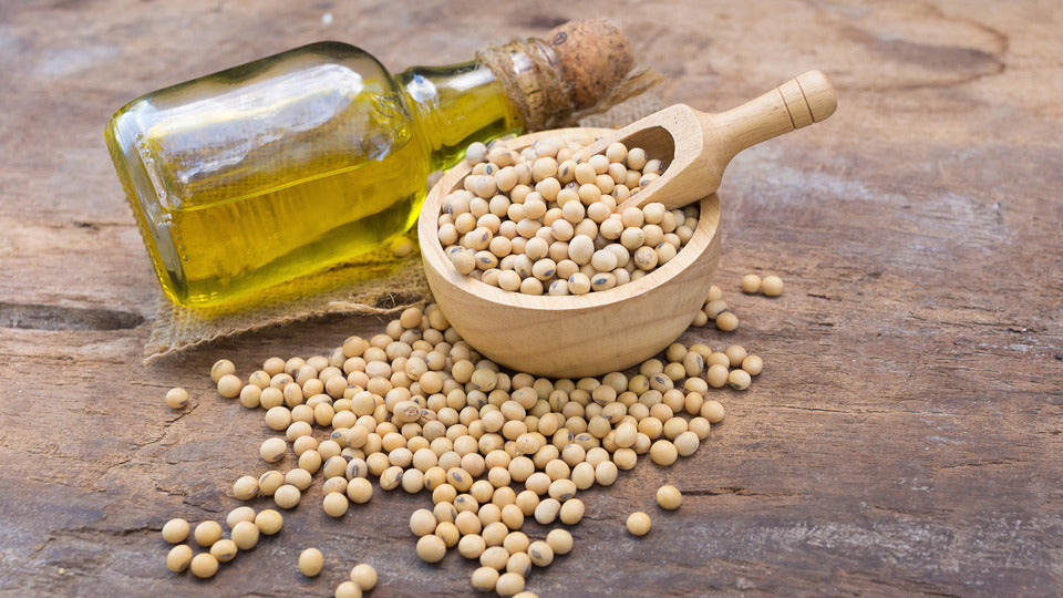 卵磷脂与胆固醇的“运输车”：合理摄入蛋黄、海鲜与豆制品