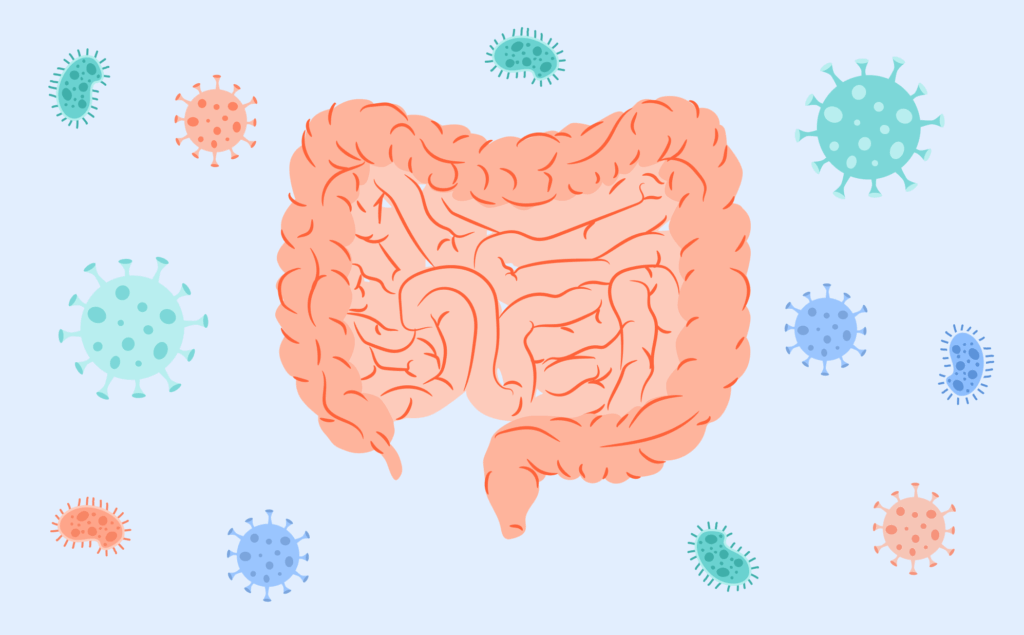 身体的“长城”崩塌了：2026 肠漏症深度解析——皮肤过敏、长期疲劳与关节痛的幕后真相