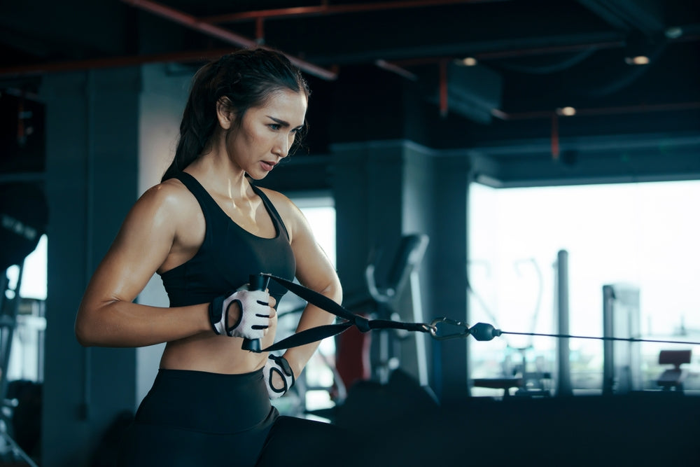 昂贵的“生命存款”：2026 肌肉全书——为什么肌肉是抗衰老的终极货币？