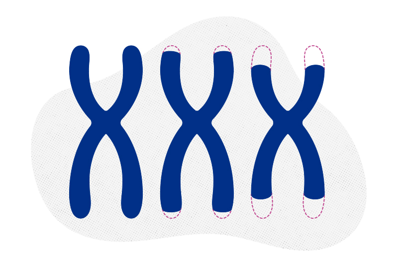 生理年龄“逆生长”：2026年最硬核的端粒保卫战